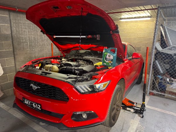 Vehicle Maintenance